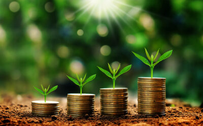 Navigating to GoGreen in PMI