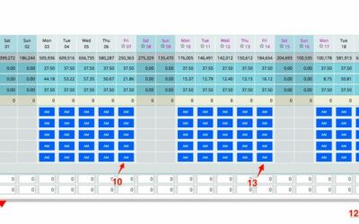 Labor cockpit schedule