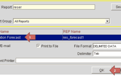 Report 2 (manual export): Reservation Forecast, (res_forecast)