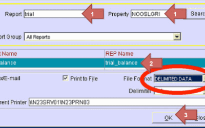 Report 3 (manual export): Trial Balance (trial_balance)