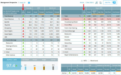 KPI indicators in Management Perspective